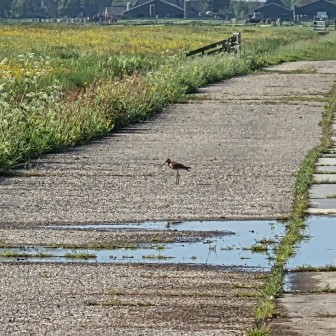 WhatsApp Image 2025-05-21 at 20.25.15.jpeg