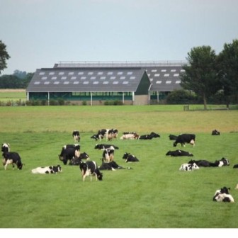 WhatsApp Image 2022-09-27 at 11.30.05 AM.jpeg